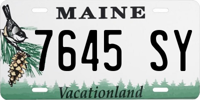 ME license plate 7645SY