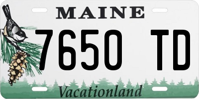 ME license plate 7650TD