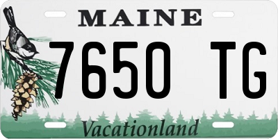 ME license plate 7650TG