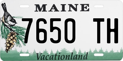 ME license plate 7650TH