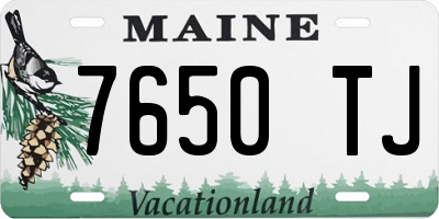 ME license plate 7650TJ