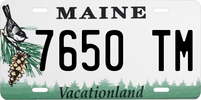 ME license plate 7650TM