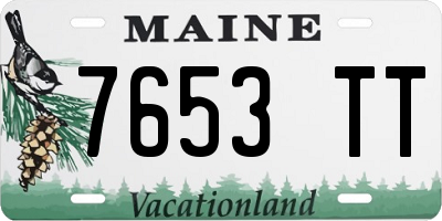 ME license plate 7653TT
