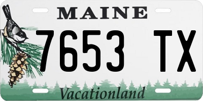 ME license plate 7653TX