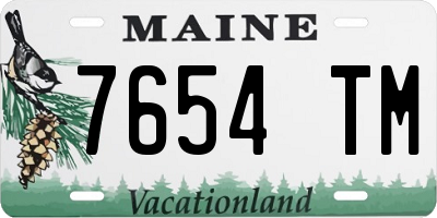 ME license plate 7654TM