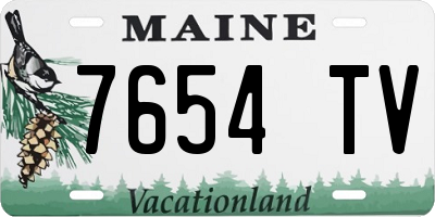 ME license plate 7654TV