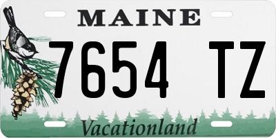 ME license plate 7654TZ