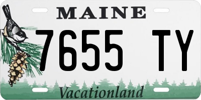 ME license plate 7655TY