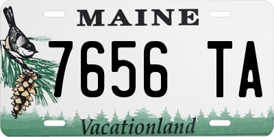 ME license plate 7656TA