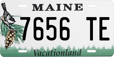 ME license plate 7656TE