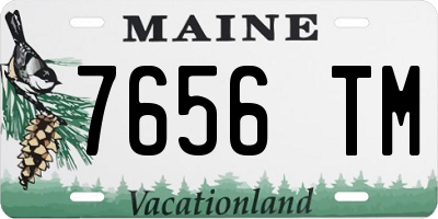 ME license plate 7656TM