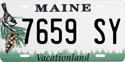 ME license plate 7659SY