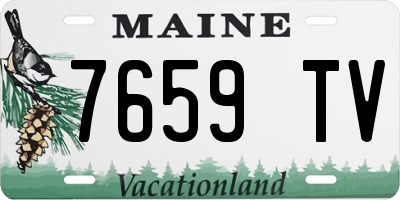 ME license plate 7659TV