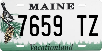 ME license plate 7659TZ
