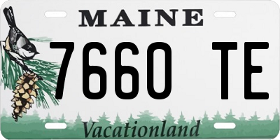 ME license plate 7660TE