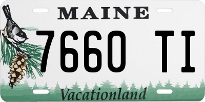 ME license plate 7660TI