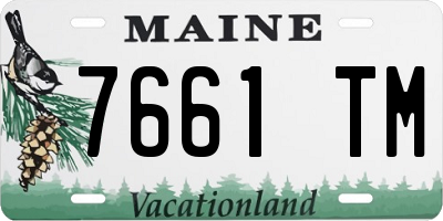 ME license plate 7661TM