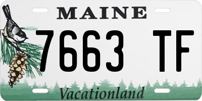 ME license plate 7663TF