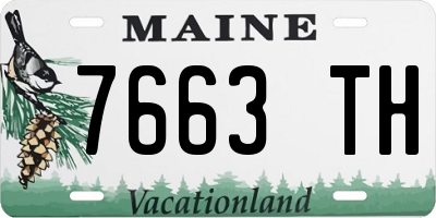 ME license plate 7663TH