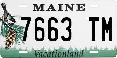 ME license plate 7663TM