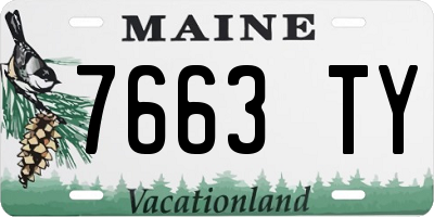ME license plate 7663TY