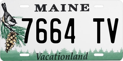 ME license plate 7664TV