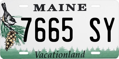 ME license plate 7665SY