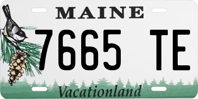 ME license plate 7665TE