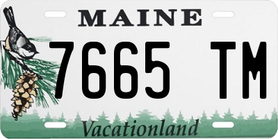 ME license plate 7665TM