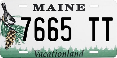 ME license plate 7665TT
