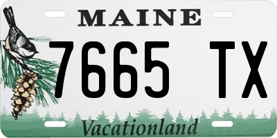 ME license plate 7665TX