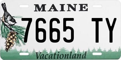ME license plate 7665TY