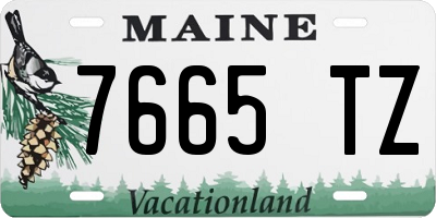 ME license plate 7665TZ