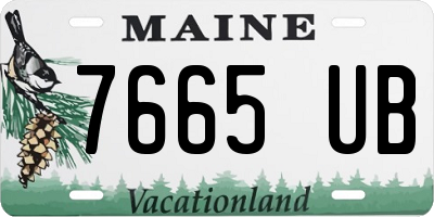 ME license plate 7665UB