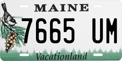 ME license plate 7665UM