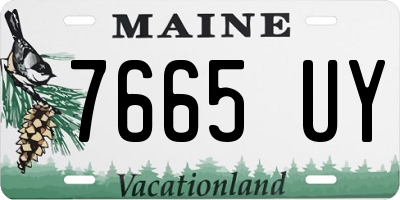 ME license plate 7665UY