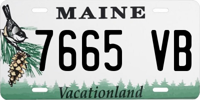 ME license plate 7665VB