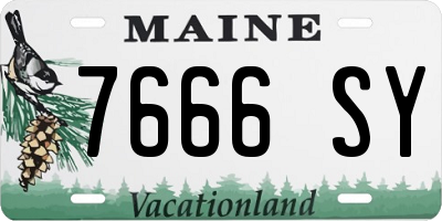 ME license plate 7666SY