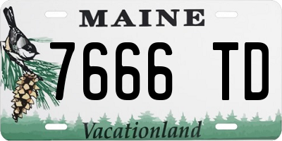 ME license plate 7666TD