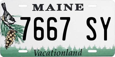 ME license plate 7667SY