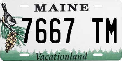 ME license plate 7667TM