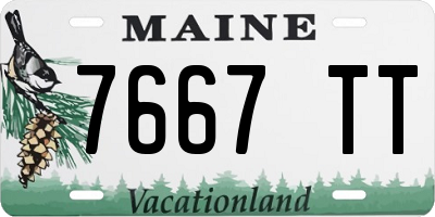 ME license plate 7667TT