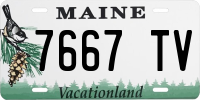 ME license plate 7667TV