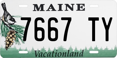 ME license plate 7667TY