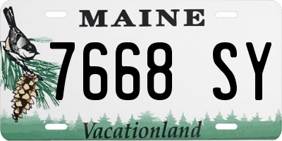 ME license plate 7668SY