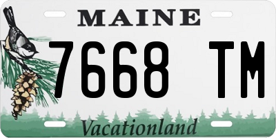 ME license plate 7668TM