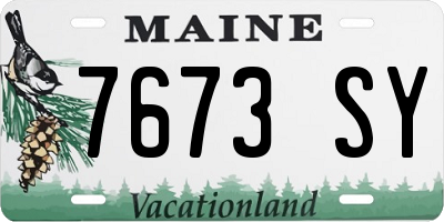 ME license plate 7673SY