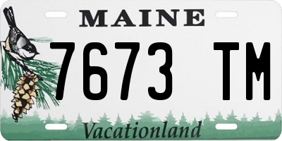 ME license plate 7673TM