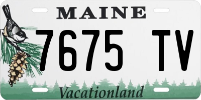 ME license plate 7675TV