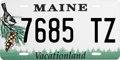 ME license plate 7685TZ